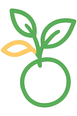 Fruit & Veg Garden